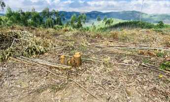 Imagem 4: Lote/Terreno para venda 2500² em Salesópolis