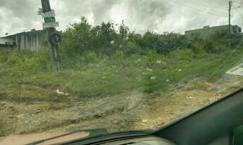 Imagem 4: Vendo terreno no loteamento Rosa de maio em uma boa localizaçao escriturado e