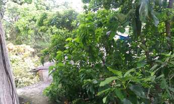 Imagem 4: Casa Casa com 1 dormitório