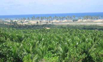 Imagem 2: Terreno com Potencial Turistico, com 64,9 ha em - Conde - Bahia