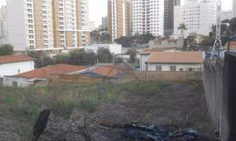 Imagem 3: área - Taquaral - Campinas