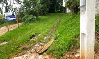 Imagem 5: Lotes com excelente topografia