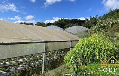 Imagem 3: Sítio / Chácara para Venda em Santa Maria do Herval, Padre Eterno Ilges, 1 dormitório, 1 b