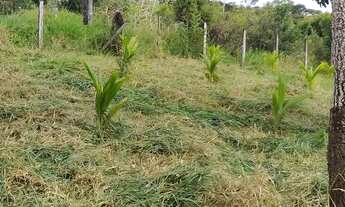 Imagem 4: Terreno 80x50 São Lourenço da Mata
