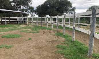 Imagem: Fazenda com 4 dormitórios à venda, 14955600