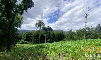 Imagem 4: Sítio / Chácara para Venda em Três Coroas, Moreira