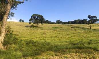 Imagem 3: Lote/Terreno para venda tem 1000 metros quadrados em Cidade Jardim Cumbica - Guarulhos - S