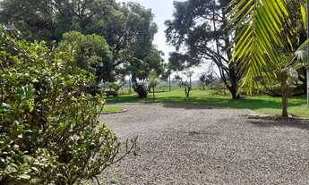 Imagem 6: Felicidade do Campo na Praia