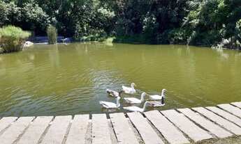 Imagem 2: Apartamento Cond Residencial Reserva Casablanca São José dos Pinhais