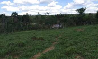 Imagem 4: Chácara à venda e locação Zona Rural, Alto Araguaia