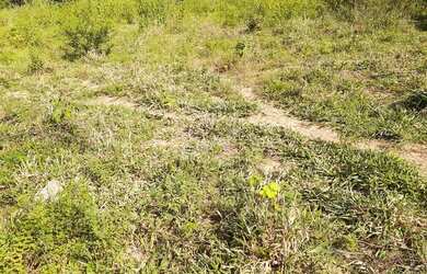 Imagem 6: Fazendinha 121 Hectares !!!Água de Rio!!!Energia Trifásico!!!60 km M Claros!!!