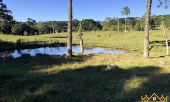 Imagem 7: Sítio / Chácara para Venda em Gramado, Serra Grande