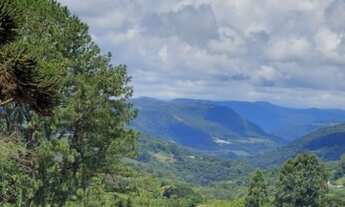Imagem 7: CAXIAS DO SUL - Terreno Padrão - Desvio Rizzo