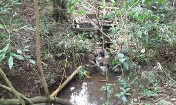 Imagem 4: Terreno 27 ha terra de cultivo, água de nascente, documentada, Santa Luzia