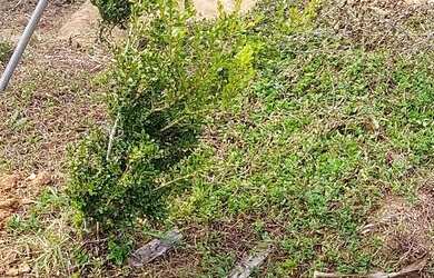 Imagem 3: OPORTUNIDADE!! Terreno / lote com venda por R$45.000