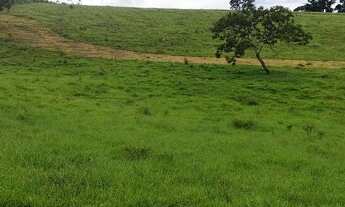 Imagem 3: Lote/Terreno para venda possui 500 metros quadrados em Parque São George - Cotia - SP