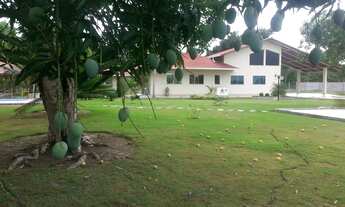 Imagem 4: VENDO EXCELENTE SÍTIO KM 47, AM-010