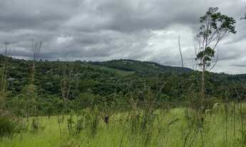 Imagem 6: Bota Fora - Área Rural com 52 Alqueires Região da Fernão Dias