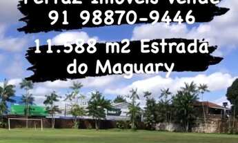 Imagem: Área com 11.588 m2 na Cláudio Sanders