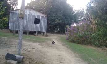 Imagem 2: Terras no Amazonas