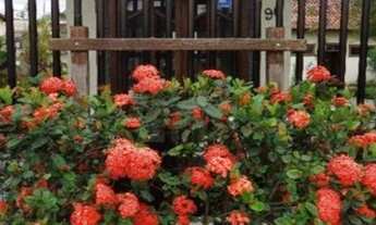 Imagem: Casa duplex em fechado fechado