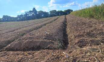 Imagem 7: Venha conhecer esse lindo terreno em Cotia