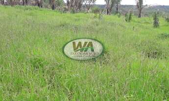 Imagem 7: Fazenda com grande potencial de apascentamento de gado