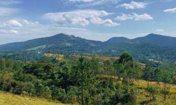 Imagem 3: 03m-Terreno em área rural ###