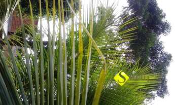 Imagem 3: Venha conhecer e adquira este confortável imóvel!!