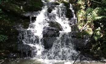 Imagem 6: SITIO A VENDA NO RIO JORDÃO COM 02 HECTARES A 200M DA PRAÇA