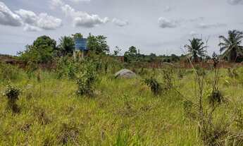 Imagem 6: Chácara para venda possui 999 metros quadrados em Urano - Satuba - Alagoas