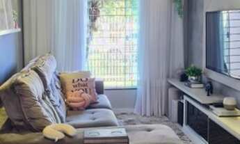 Imagem 3: Araucária - Casa Padrão - Cachoeira