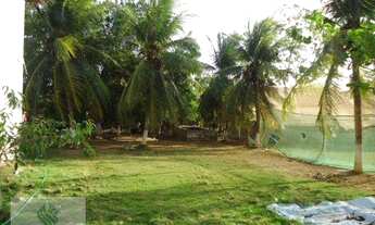 Imagem 5: SI0002 - Sítio à venda, 40000 m² por R$ 450.000,00 - Gereraú - Itaitinga/CE