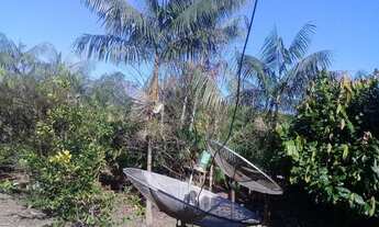 Imagem 4: Terras no Amazonas