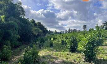 Imagem 7: Área à venda, 72600 m² por R$ 1.800.000,00 - Rio Do Salto - Cascavel/PR