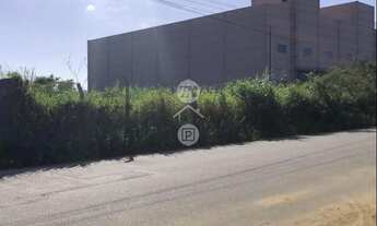 Imagem 3: Terreno Empresarial