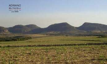 Imagem 2: FAZENDA - 325,67 HECTARES - CAJURU/SP
