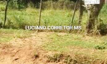 Imagem 2: PALMEIRAS (DOIS IRMãOS DO BURI - Terreno Padrão - Centro