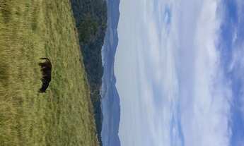 Imagem 2: R5- Terrenos de 1.000m2 para investimento em Mairiporã