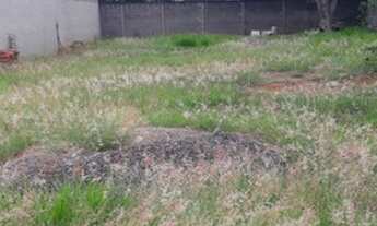 Imagem 3: Vendo Ótimo terreno lado externo condomínio Casalbuono- Limeira