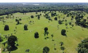 Imagem 5: Terra em Lábrea 220 hectares