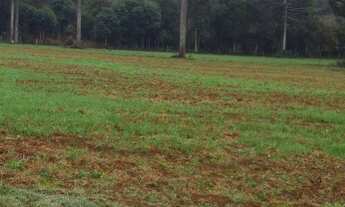 Imagem 4: Chácara Chácara com venda por R$460.000