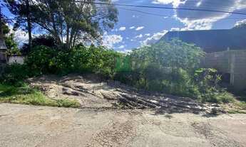 Imagem 3: Terreno Urbano para venda em São José dos Pinhais - PR