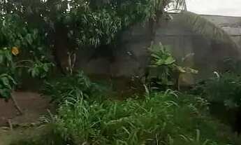 Imagem 6: Casa Parque das Mangabas $120.00