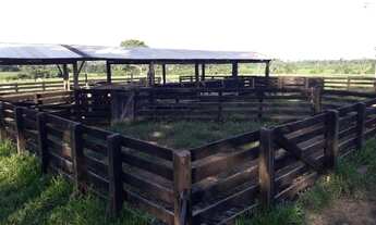 Imagem: Fazenda na BR 364