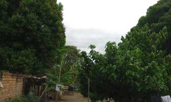 Imagem 5: Vendo casa no centro de Mucajai