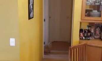 Imagem 3: APARTAMENTO - LAPA - SP