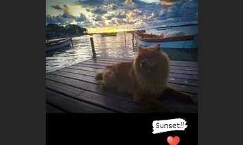 Imagem 4: São Pedro da Aldeia, pé na areia!