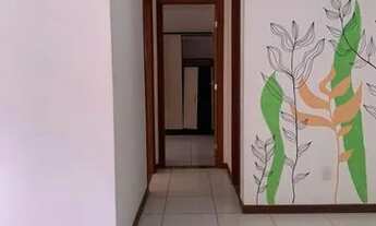 Imagem 7: 2/4 amplo, bairro boa vista