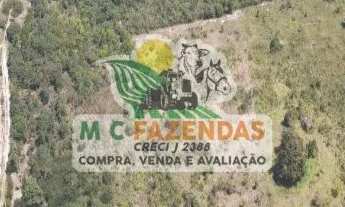 Imagem 3: Fazenda à Venda às Margens da BR 101 em Alagoinhas - Bahia